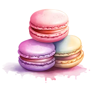 Turkish Delight Macarons